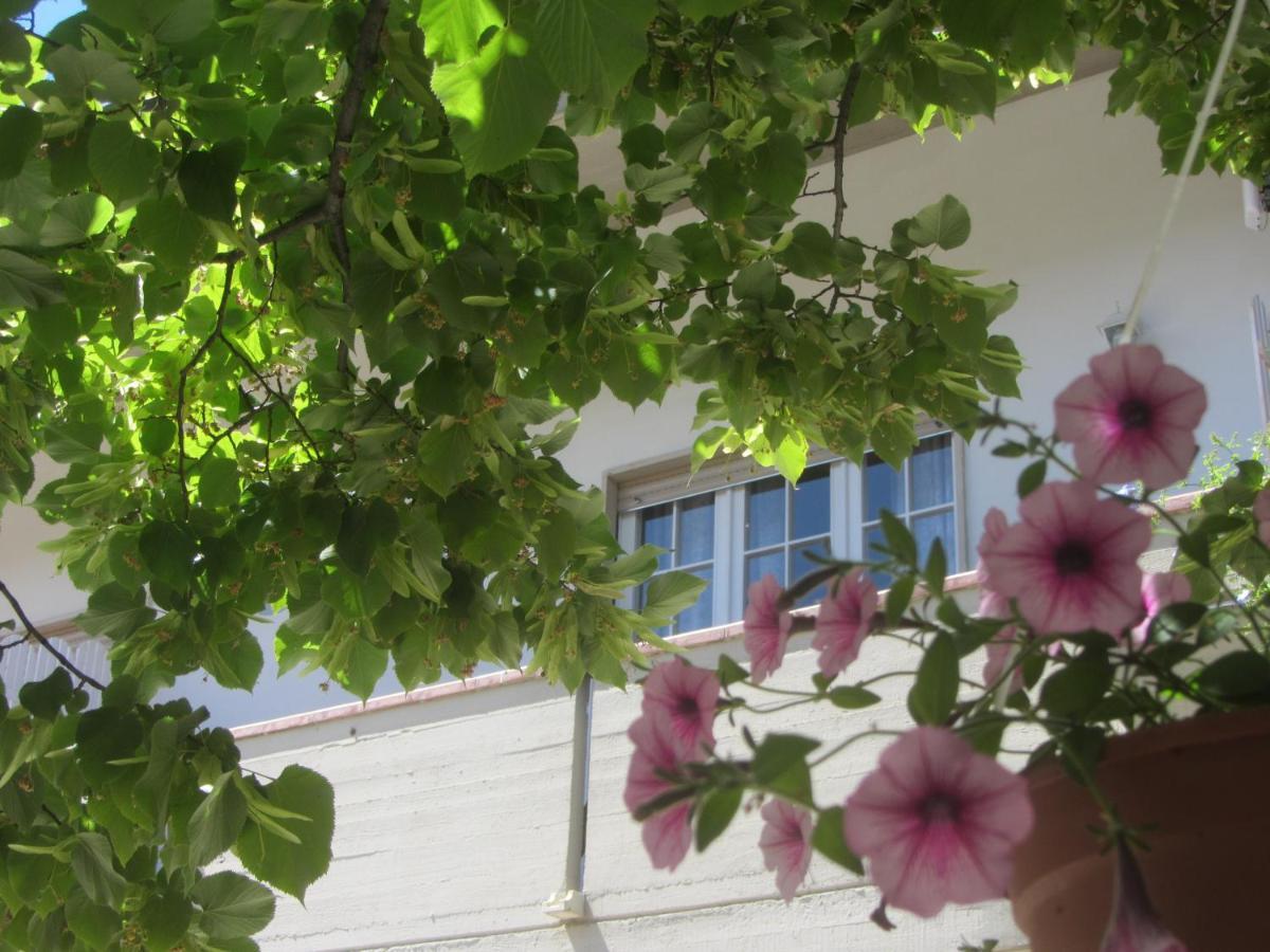 B&B Il Country E Il Mare Martinsicuro Buitenkant foto